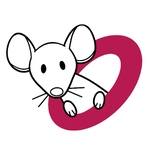 Anonymiced Shareable Data: Using mice to Create and Analyze Multiply Imputed Synthetic Datasets